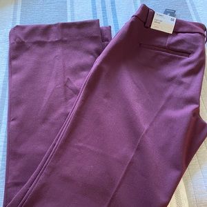 Express dress pants